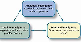 Image result for Human of Intelligence Chart