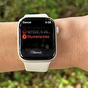 Image result for 45Mm Apple Watch 8 On a Person