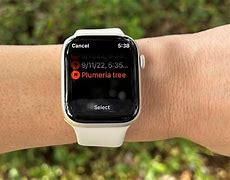 Image result for Apple Watch Series 8 Images