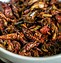 Image result for Mexican Cricket Snack