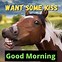 Image result for Sunny Morning Funny Memes
