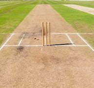 Image result for Cricket Pitch in Summer