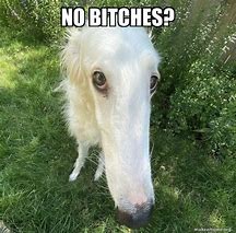 Image result for Goofy a Dog's Memes
