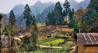Image result for Rural Vietnam