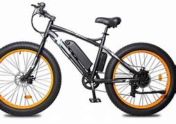 Image result for Ecotric 27 Electric Bike