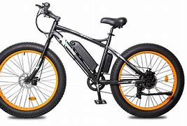 Image result for Ecotric Electric Bike Fat Boy