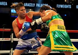 Image result for Professional Boxing