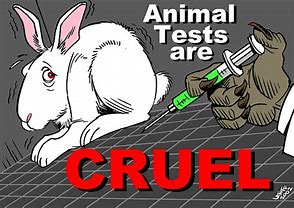 Image result for No Animal Testing Cartoon