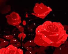 Image result for Black and Red Rose Aesthetic GIF