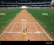 Image result for Cricket Roof Pitch