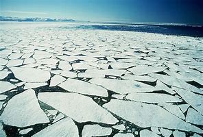 Image result for Shores of Arctica