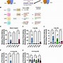 Image result for Process of Approvals of New Drug Discovery