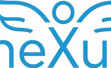 Image result for Nexus Security