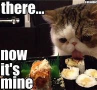 Image result for Funny Eating Cat Memes