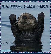 Image result for Good Morning Otter