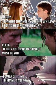 Image result for Harry Potter Hunger Games Memes