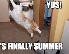 Image result for Finally Summer Meme