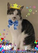 Image result for Happy Birthday Tinker