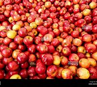 Image result for Lots Apple's