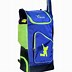 Image result for Exquisie Cricket Bag