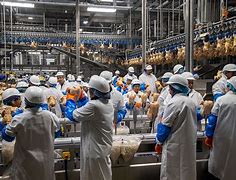 Image result for Empty Meat Factory