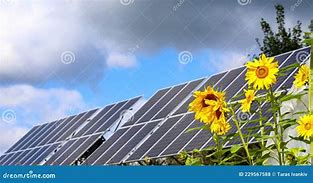 Image result for Solar Farm and Sunflower