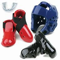Image result for Sparing Gear for Martial Arts