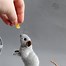 Image result for Realistic Fuzzy Mouse