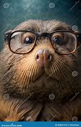 Image result for Otter Piper Glasses