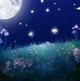 Image result for Night Sky Moon and Stars