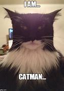 Image result for Cat Guy Meme