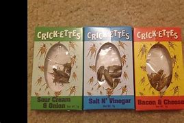 Image result for Flavored Crickets