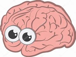 Image result for Eyes and Brain Clip Art
