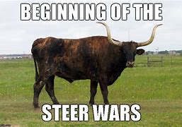 Image result for Evil Cow Meme