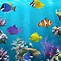 Image result for Underwater Ship Desktop Wallpaper