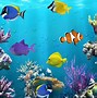 Image result for Underwater Wallpers Laptop HD