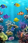 Image result for iPhone 7 Wallpaper Oceam Fish