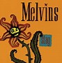Image result for Melvins Members