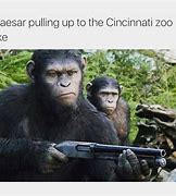 Image result for Funny Zoo Memes