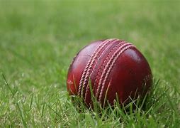Image result for Original Cricket Ball