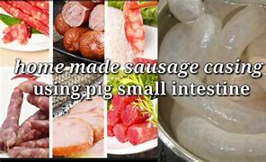 Image result for Cow Intestine Sausage Casing