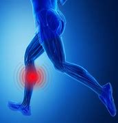 Image result for Calf Muscle Training