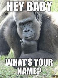 Image result for Where Gorilla Meme