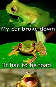 Image result for Funny Tree Frog Memes