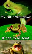 Image result for Death of a Pet Toad Meme