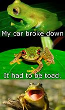 Image result for Real Frog Memes