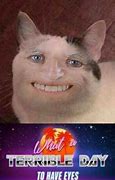Image result for big eyes cats memes templates