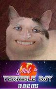 Image result for Ominous Cat Memes