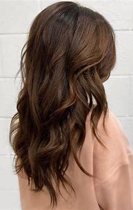 Image result for Show Medium Brown Hair Color