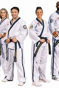 Image result for ATA Taekwondo Belt Order